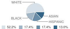 Alternative Education Program School Student Race Distribution