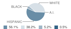 Iraan Elementary School Student Race Distribution