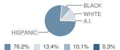 Union Bower Center for Learning School Student Race Distribution