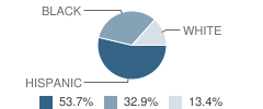 Alternative School Student Race Distribution