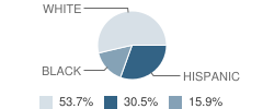 O'brien Middle School Student Race Distribution