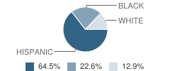 Alternative Learning Center School Student Race Distribution