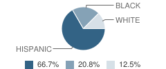 Fort Bend County Alternative School Student Race Distribution