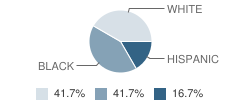 Hardin / Chambers Center School Student Race Distribution