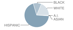 Littlefield Primary School Student Race Distribution