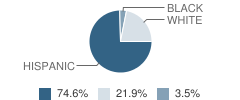 Lockney Elementary School Student Race Distribution