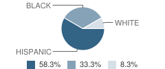 Lubbock County Juvenile Justice Alternative Education Program (Jjaep) School Student Race Distribution