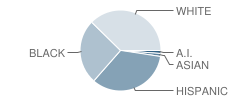 Alternative Education Center School Student Race Distribution