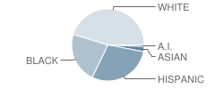 Scott Morgan Johnson Middle School Student Race Distribution