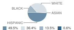 Jones Elementary School Student Race Distribution