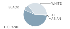 Sudderth Elementary School Student Race Distribution