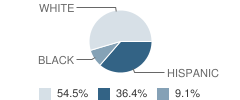 Project Restore School Student Race Distribution