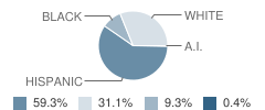 Lamar Elementary School Student Race Distribution