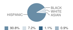 Austin Elementary School Student Race Distribution