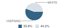 Top of Texas Accelerated Education School Student Race Distribution