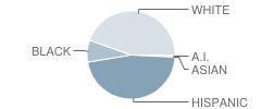 Post Elementary School Student Race Distribution