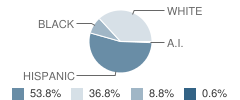 Post Middle School Student Race Distribution