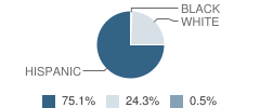 Reagan County Middle School Student Race Distribution