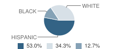 Refugio High School Student Race Distribution