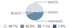 Rotan Elementary School Student Race Distribution