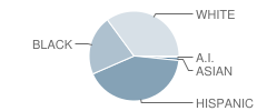 Success Program West School Student Race Distribution
