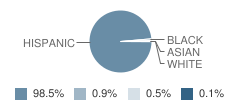 Irving Middle School Student Race Distribution