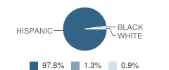 Riverside Park Academy Student Race Distribution