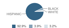 Navarro Academy Student Race Distribution