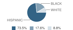 Pickett Center School Student Race Distribution