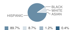 Del Rio High School Student Race Distribution