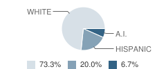 C H A M P S School Student Race Distribution