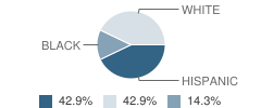 Early Ee Through 12th Grade School Student Race Distribution