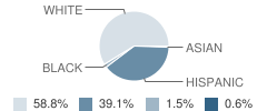 Young Elementary School Student Race Distribution