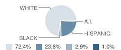 Spring Creek Elementary School Student Race Distribution