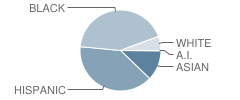 Stafford Middle School Student Race Distribution