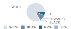 West Texas Middle School Student Race Distribution