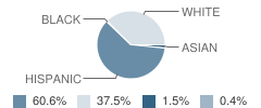 Mary Allen Elementary School Student Race Distribution