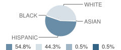 Sunray Elementary School Student Race Distribution