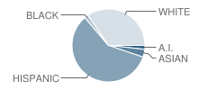 Sanderson High School Student Race Distribution