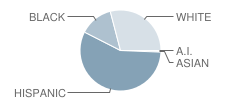 Tulia Highland Elementary School Student Race Distribution