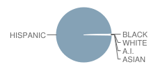 United South High School Student Race Distribution