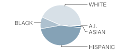 Howell Middle School Student Race Distribution