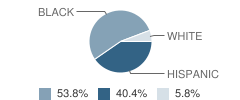 Waco Independent School District (ISD) Alternative School Student Race Distribution