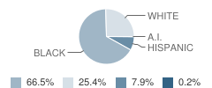 West Orange-Stark Middle School Student Race Distribution