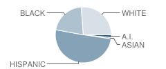 Lamar Elementary School Student Race Distribution