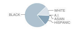 Washington-Jackson Math / Science School Student Race Distribution