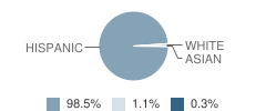 Fidel and Andrea R Villarreal Elementary School Student Race Distribution