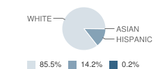 Canyon School Student Race Distribution