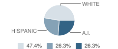 Lake Powell School Student Race Distribution