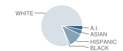 Intech Collegiate High School Student Race Distribution